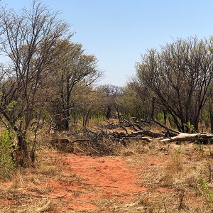 Zimbabwe Hunt Area