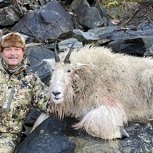 Alaska USA Hunt Mountain Goat With Parker Guide Service