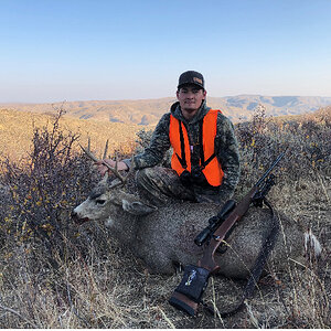 USA Hunting Mule Deer