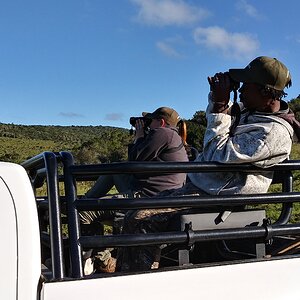 Glassing Game South Africa