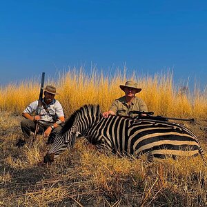 Burchell's Plain Zebra Hunting Zambia