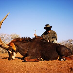 Sable Hunting South Africa