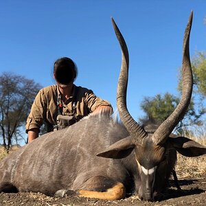 Hunt Nyala in South Africa