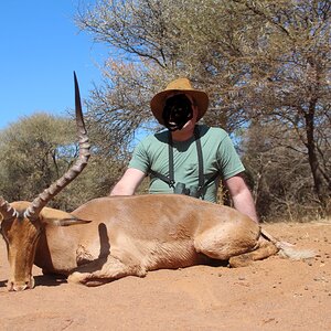 South Africa Hunting Impala