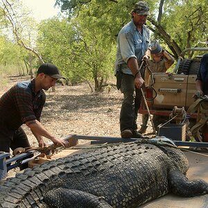 Moving Crocodiles