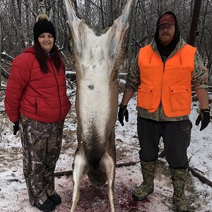 Canada Hunt White-tailed Deer