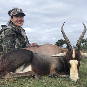 South Africa Hunt Blesbok