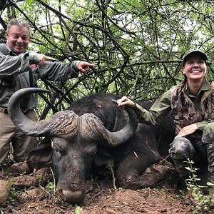 Hunting Buffalo in South Africa