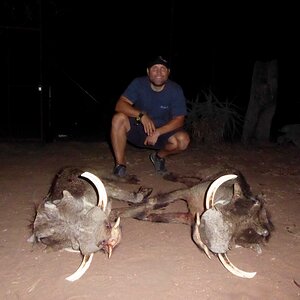 Hunt Warthog in South Africa