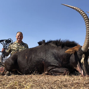 Shot this magnificent Sable in South Africa with Ditholo Safaris.