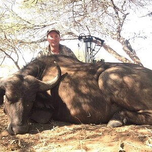 Bow Hunting Buffalo in South Africa