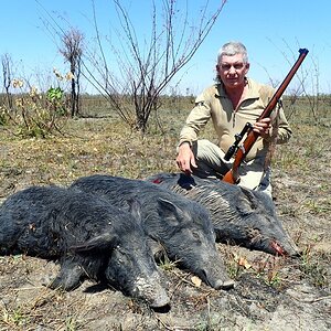 Australia Hunting Boars