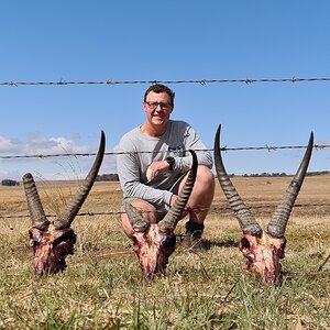 Hunting Common Reedbuck in South Africa