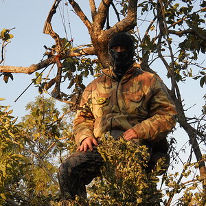 Bushpig Bow Hunting in South Africa