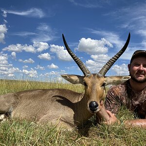 Common Reedbuck Hunting South Africa