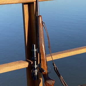 300 H&H Rifle