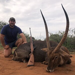 Waterbuck Hunt South Africa