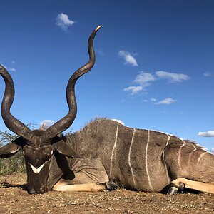 Hunting Kudu in South Africa