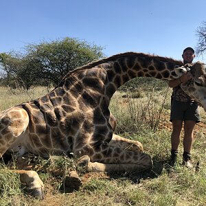 Giraffe Hunting South Africa