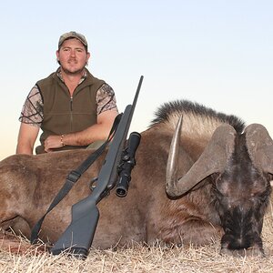 Hunt Black Wildebeest in South Africa