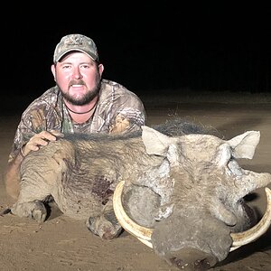 Hunting Warthog in South Africa