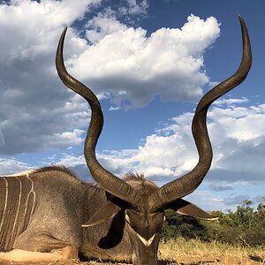 Hunting Kudu in South Africa