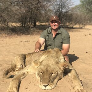 Hunting Lioness in South Africa