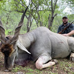 Hunt Eland in South Africa