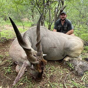 South Africa Hunting Eland