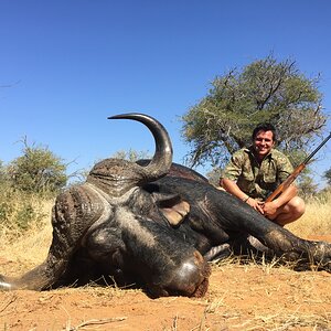 South Africa Hunt Cape Buffalo