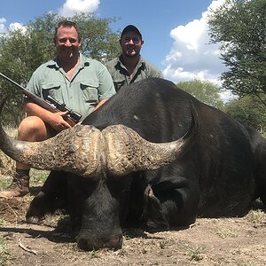 Hunting Buffalo in South Africa