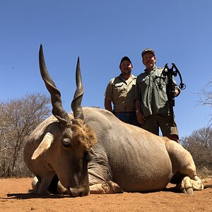 Crossbow Hunting Eland in South Africa