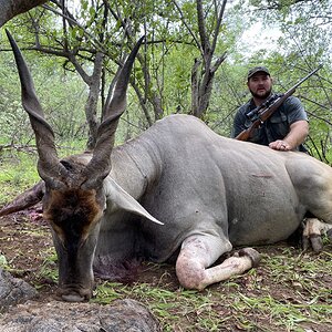 Eland Hunting South Africa