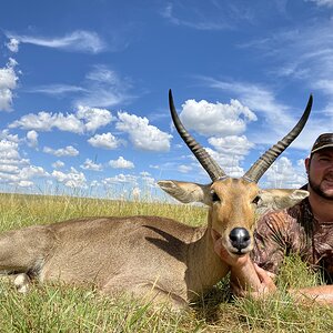 Hunt Reedbuck in South Africa