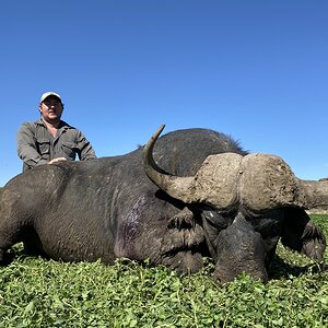 Cape Buffalo Hunt South Africa