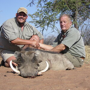 Warthog Hunting South Africa