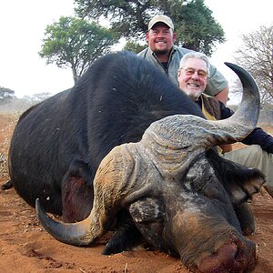 South Africa Hunt Cape Buffalo