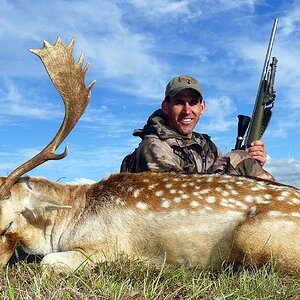 South Africa Hunt Fallow Deer