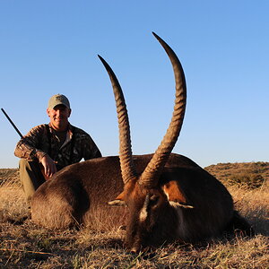 Waterbuck Hunting South Africa