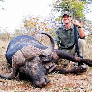 Cape Buffalo Hunt South Africa