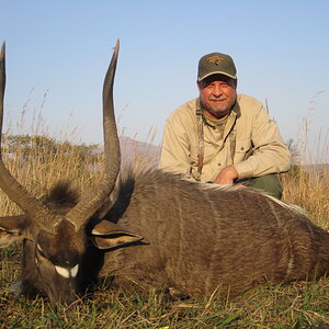 Nyala Hunt South Africa