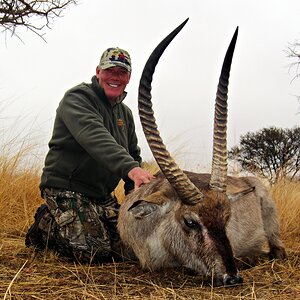 South Africa Hunting Waterbuck