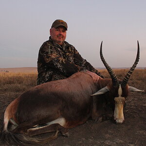 South Africa Hunting Blesbok