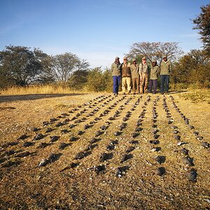 South Africa Hunt Doves & Pigeons