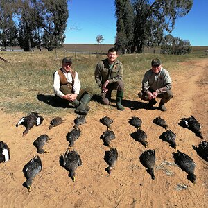 Duck Hunting South Africa