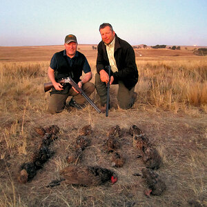 Bird Hunt South Africa