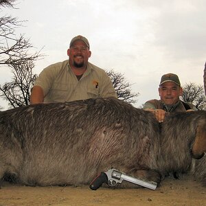 South Africa Handgun Hunting Waterbuck