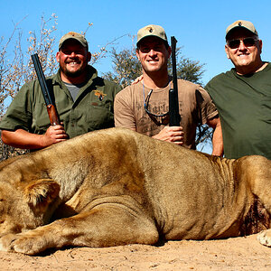 Lioness Hunt South Africa