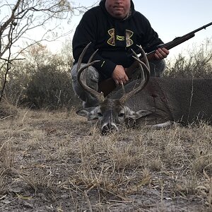 White-tailed Deer Hunting Texas USA