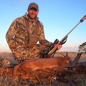 South Africa Hunting Caracal